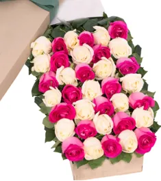 2 Dozen Pink and White Roses Online Order to Philippines